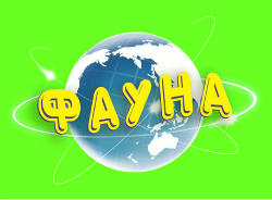 Компанія Фауна